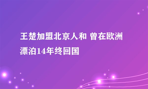 王楚加盟北京人和 曾在欧洲漂泊14年终回国