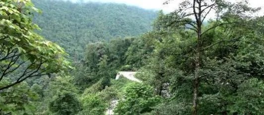 西藏6.3级地震有什么影响？当地居民外出避震后回家正常生活