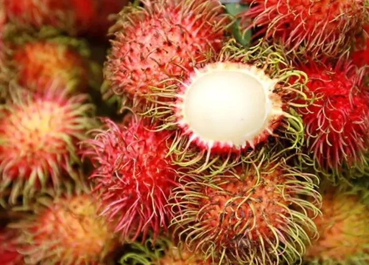 红毛丹的功效与作用