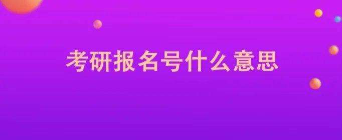 考研报名号什么意思