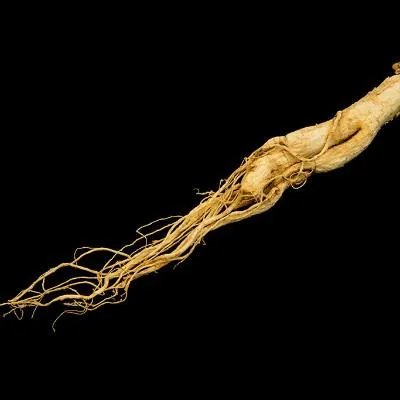 立顿红茶还能喝吗