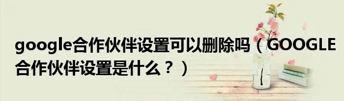 google合作伙伴设置可以删除吗（GOOGLE合作伙伴设置是什么？）