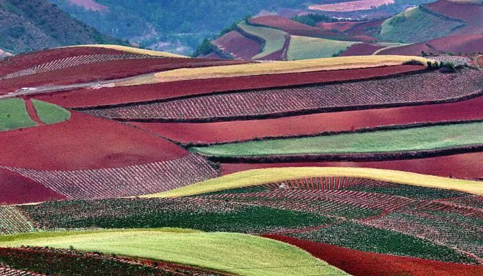 2022年5月4日放假吗 2022年5月4日放不放假