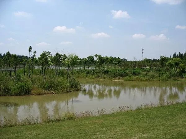 上海西沙湿地公园怎么样，好玩嘛？