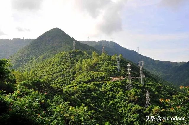 东莞的观音山国家森林公园怎么样？