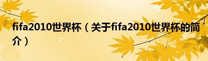 fifa2010世界杯（关于fifa2010世界杯的简介）