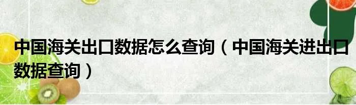 中国海关出口数据怎么查询（中国海关进出口数据查询）
