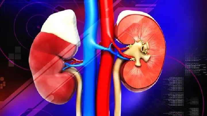 浅析尿毒症用药指导