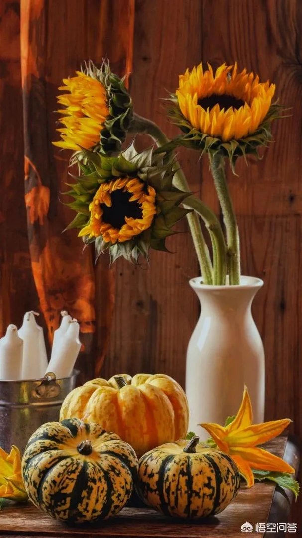 女子恋爱被骗了70多万,该怎么办?