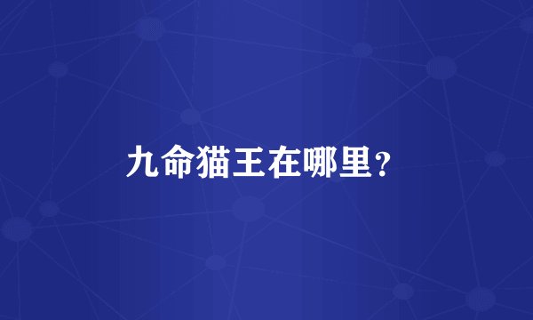 九命猫王在哪里？
