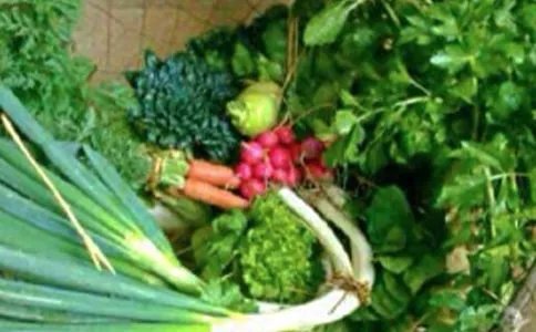 大学生常见心理健康问题