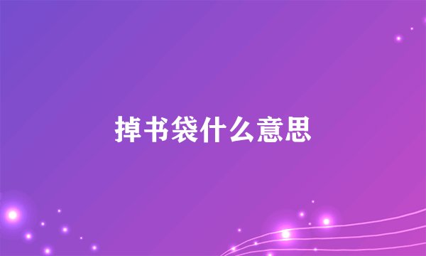掉书袋什么意思