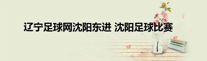 辽宁足球网沈阳东进 沈阳足球比赛