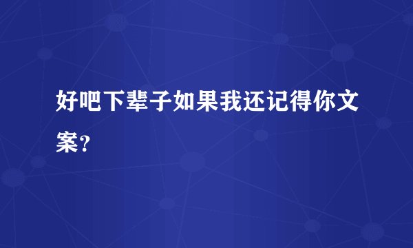 好吧下辈子如果我还记得你文案？