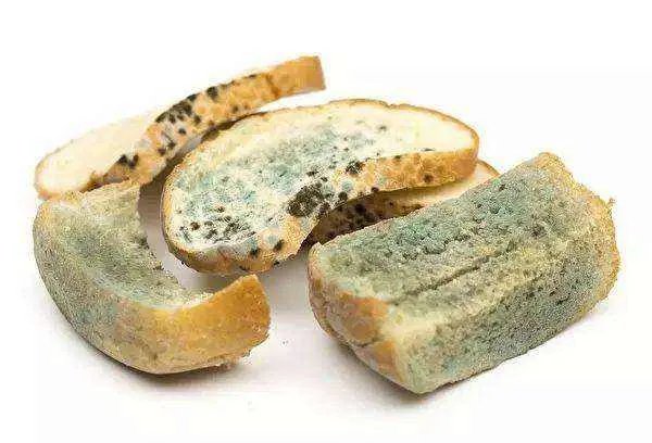 一家9口聚餐食物中毒7人死亡,他们到底吃了什么中毒的?