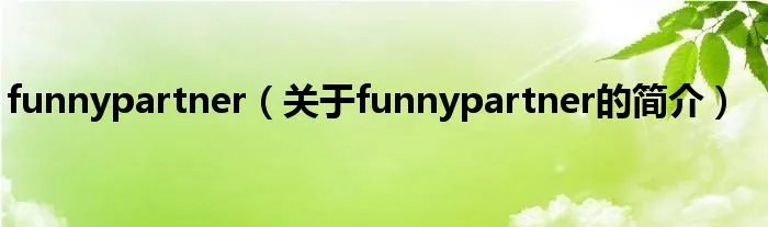 funnypartner（关于funnypartner的简介）