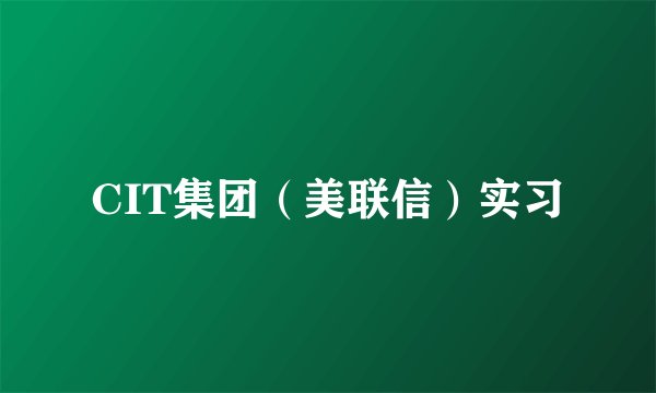 CIT集团（美联信）实习