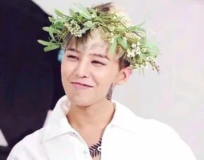 权志龙被举报违反防疫规定。说说这是怎么一回事？