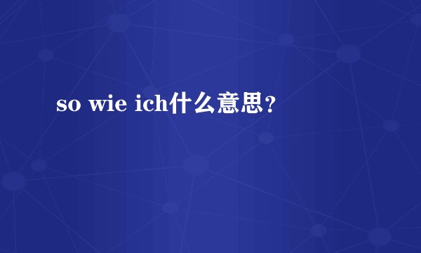 so wie ich什么意思？