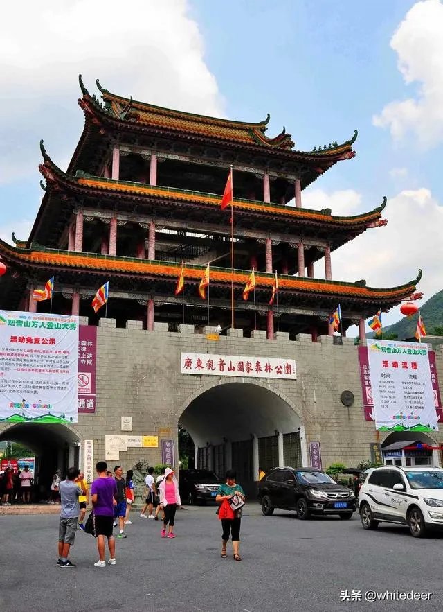 东莞的观音山国家森林公园怎么样？