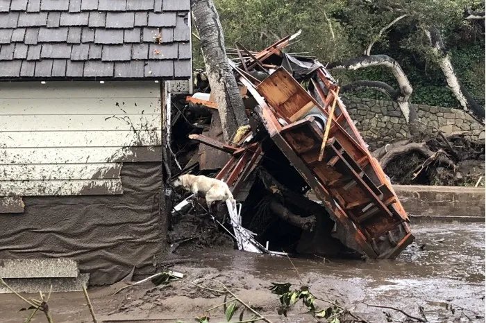 美加州发生泥石流，怎么样了？