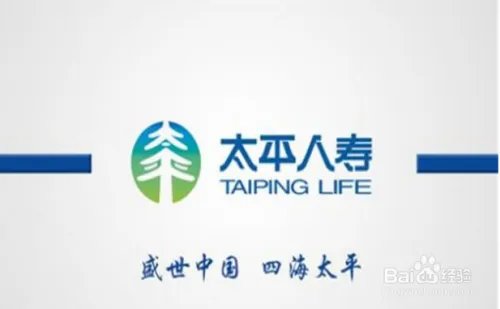 6大中国人寿保险排行榜