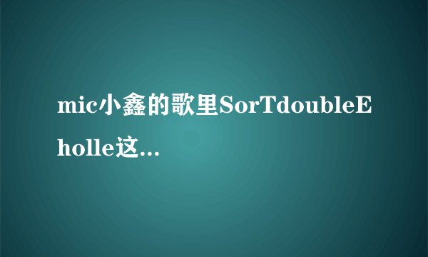 mic小鑫的歌里SorTdoubleEholle这句歌词是什么意思？
