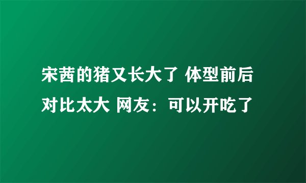 宋茜的猪又长大了 体型前后对比太大 网友：可以开吃了