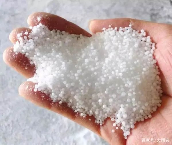 尿素做叶面肥，浓度多少合适？