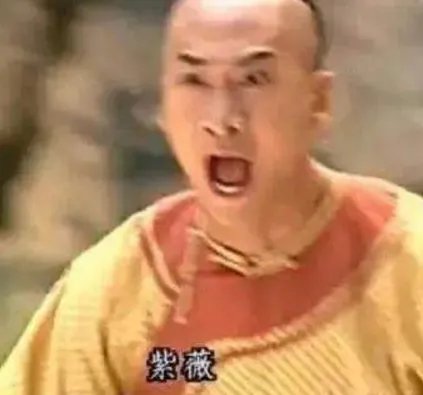 历史上有福尔康这个人吗 福尔康的真实身份又是什么