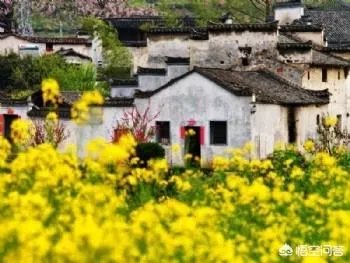 3月份最适合旅游的地方是哪里？