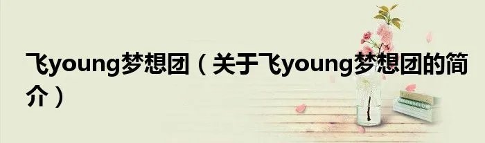 飞young梦想团（关于飞young梦想团的简介）