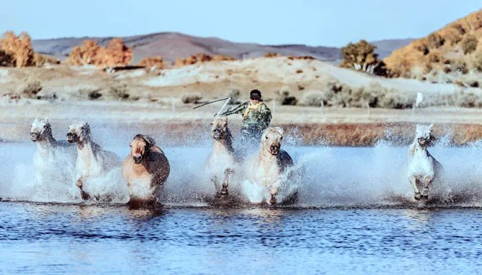 擅长画马的画家是谁