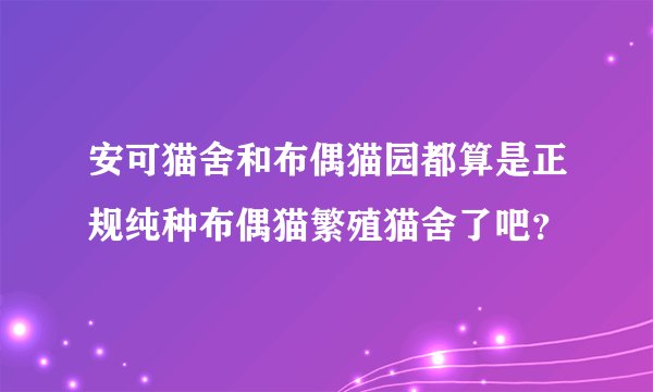 安可猫舍和布偶猫园都算是正规纯种布偶猫繁殖猫舍了吧？