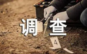 农村空巢老人调查报告总结