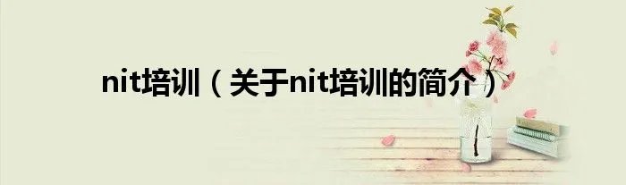 nit培训（关于nit培训的简介）