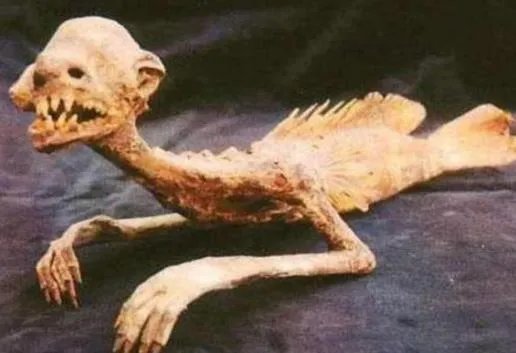 美人鱼照片真身吓死人?美人鱼是否真实存在呢?