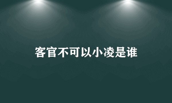 客官不可以小凌是谁