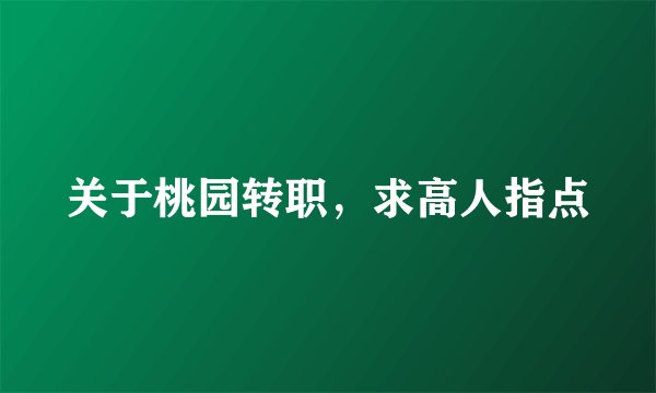关于桃园转职，求高人指点