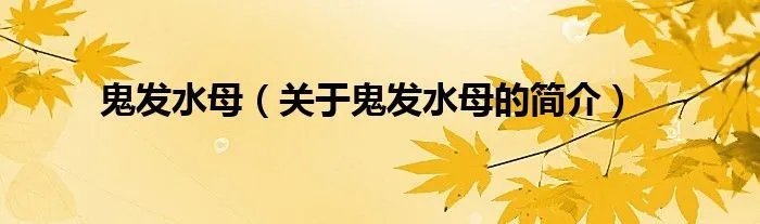 鬼发水母（关于鬼发水母的简介）