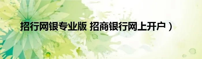 招行网银专业版 招商银行网上开户）