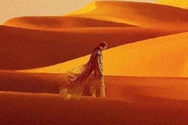 豆瓣2021年度热门搜索影视-2021年影视剧热搜榜