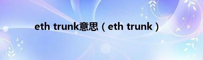 eth trunk意思（eth trunk）