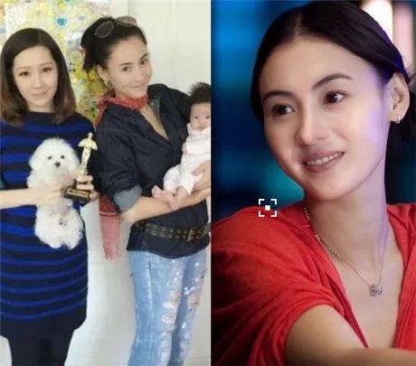 张柏芝携带两子探望关心妍    怀里抱着baby尽显温柔