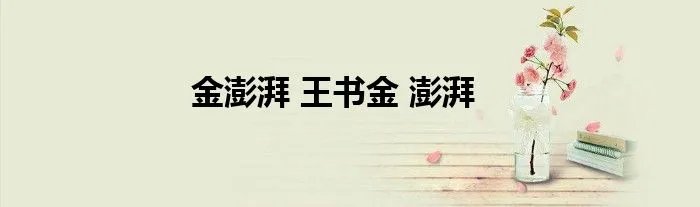 金澎湃 王书金 澎湃