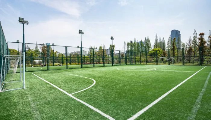 2022世界杯喀麦隆队阵容 喀麦隆2022卡塔尔世界杯大名单