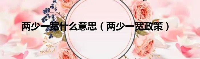 两少一宽什么意思（两少一宽政策）