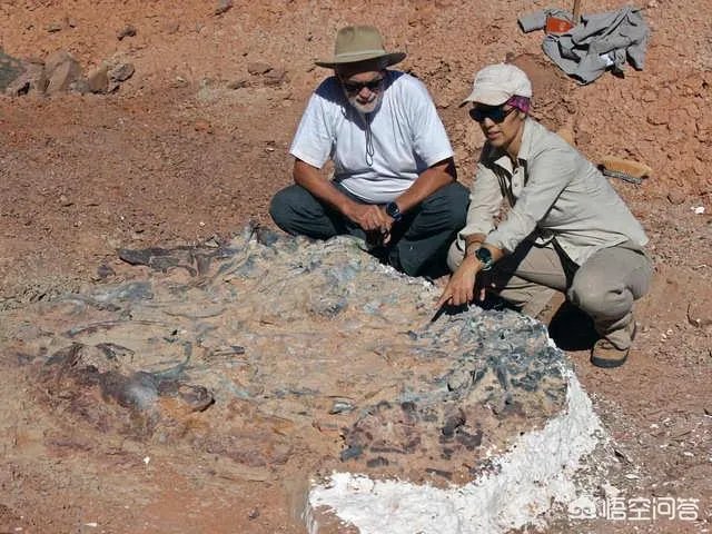 科学家发现2.2亿年前恐龙墓，谁给安葬的呀？