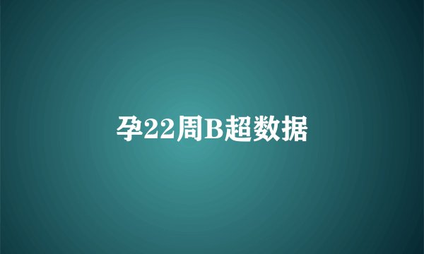 孕22周B超数据