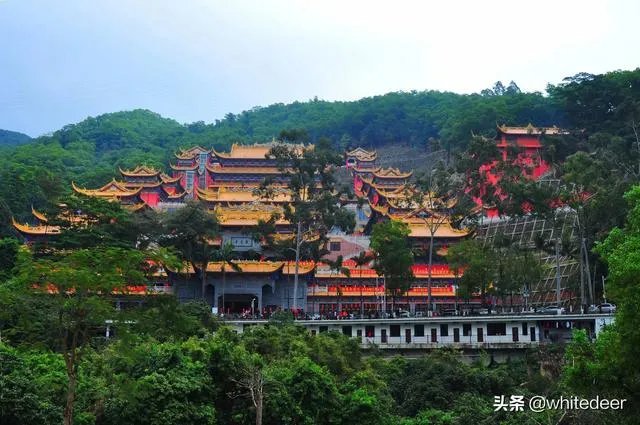 东莞的观音山国家森林公园怎么样？